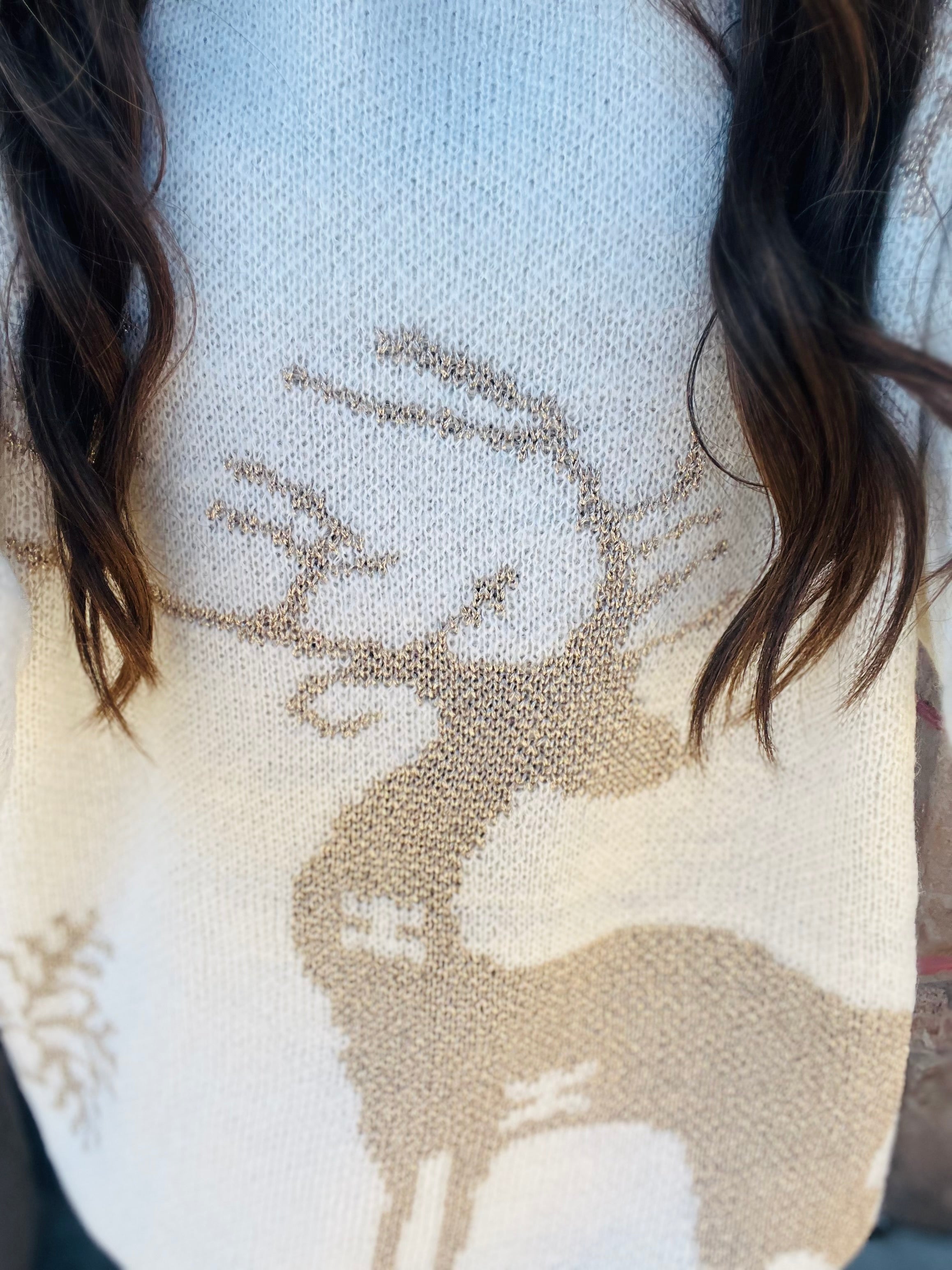 Reindeer Sweater