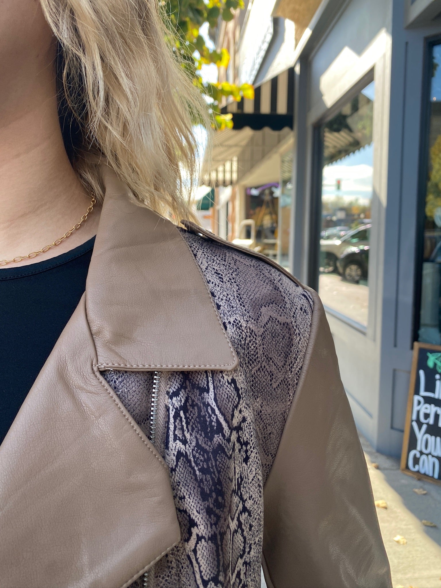 Snake Print Jacket